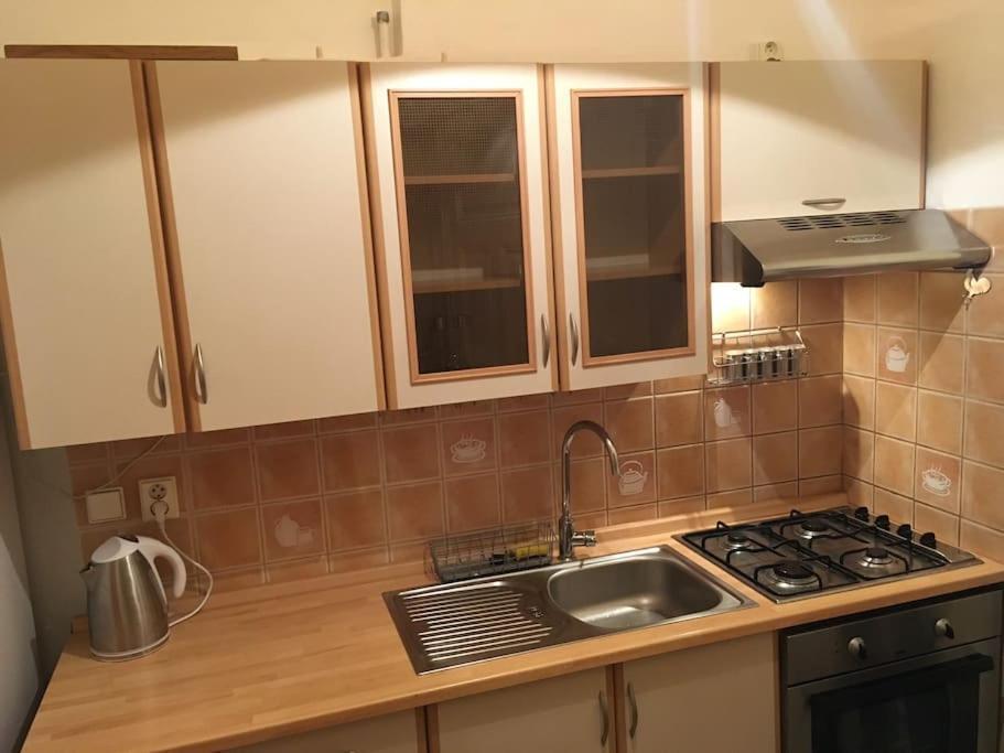 Utulne Ubytovani U Centra V Blizkosti Vystaviste Brno Exteriér fotografie