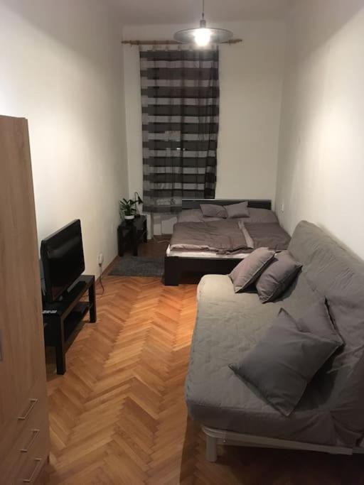 Utulne Ubytovani U Centra V Blizkosti Vystaviste Brno Exteriér fotografie